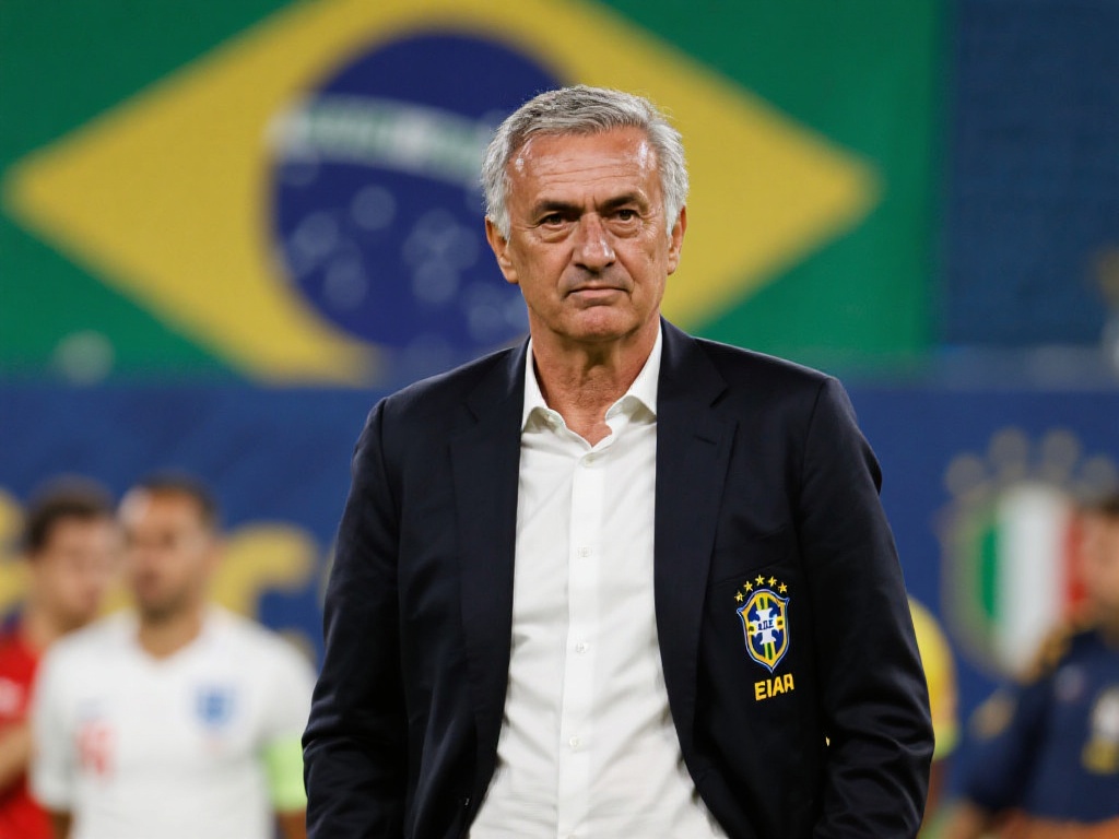 多样化的内 多样化的内