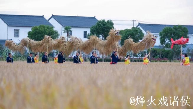 稻草变龙，在乡野中起舞，预约下一个“沪派江南”丰收年！